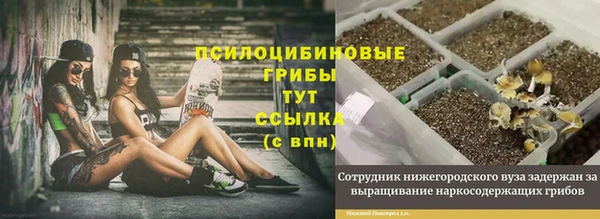 ПСИЛОЦИБИНОВЫЕ ГРИБЫ Абинск