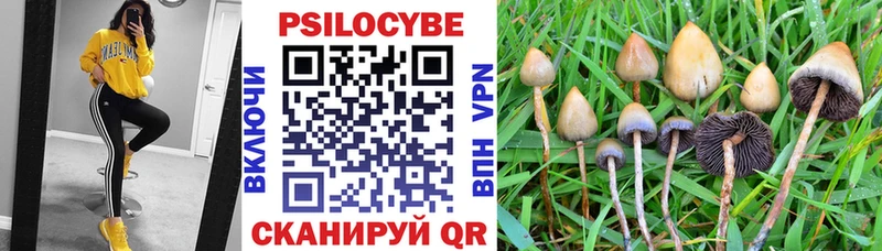 Галлюциногенные грибы Psilocybine cubensis  кракен как войти  Горячеводский 